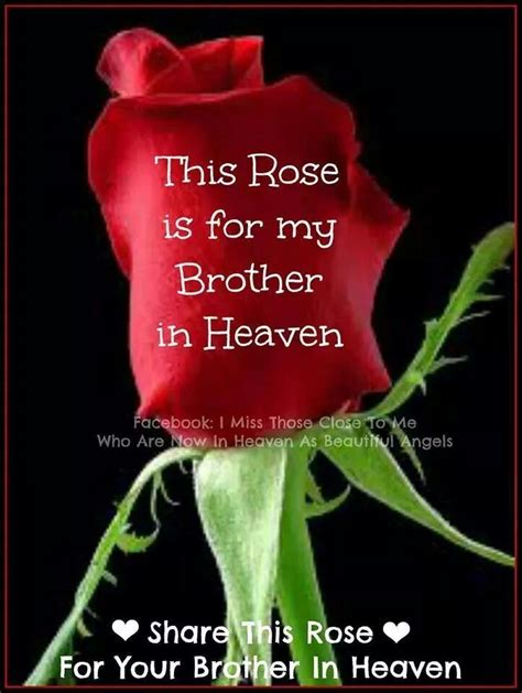 1000 images about roses for my brother on pinterest my heart heavens and brother