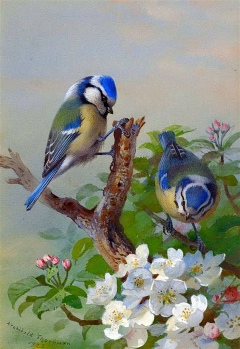 birds painting painting drawing oil painting pretty birds