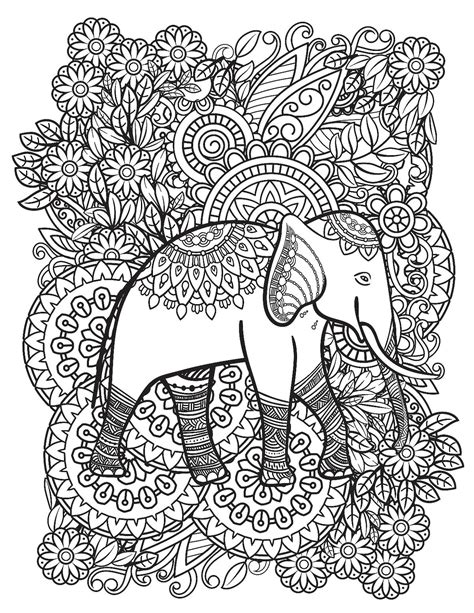 elephant coloring book  adults    svg file