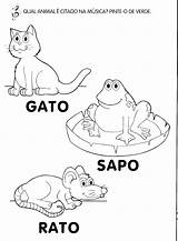 Frog Pepe Coloring Meme Sapo Template Pages sketch template