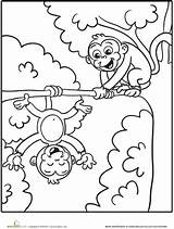 Coloring Monkeys Monkey sketch template