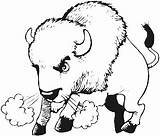 Buffalo Coloring Pages Print Kids Animal Sheets sketch template