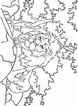 Kleurplaten Leeuwen Leeuw Dieren Animasi Singa Mewarnai Bergerak Animaatjes Leoni Kleurplatenwereld Leone Animate Stemmen sketch template