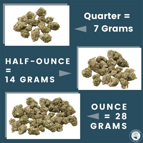 visual guide  cannabis quantities eggs canna