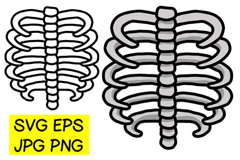 rib cage outline  colored version jpg png svg eps