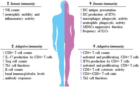 Frontiers Sexual Dimorphism Of Immune Responses A New