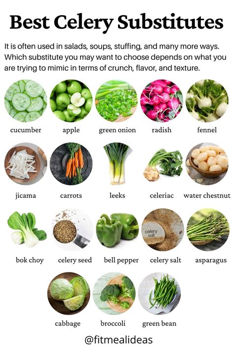 celery substitute  soups salads  stuffing fit meal ideas