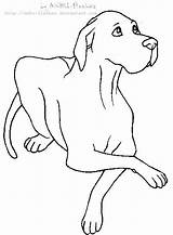 Dane Great Drawing Deviantart Lineart Pages Dog Line Outline Coloring Danes Drawings Anbu Shepherd German Sketch Choose Board Template sketch template