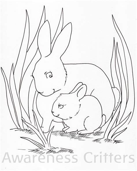 animal family coloring page packet etsy