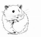 Hamster Outline Drawings Clipart Sketches Drawing Hamsters Andrea Albright Cute sketch template