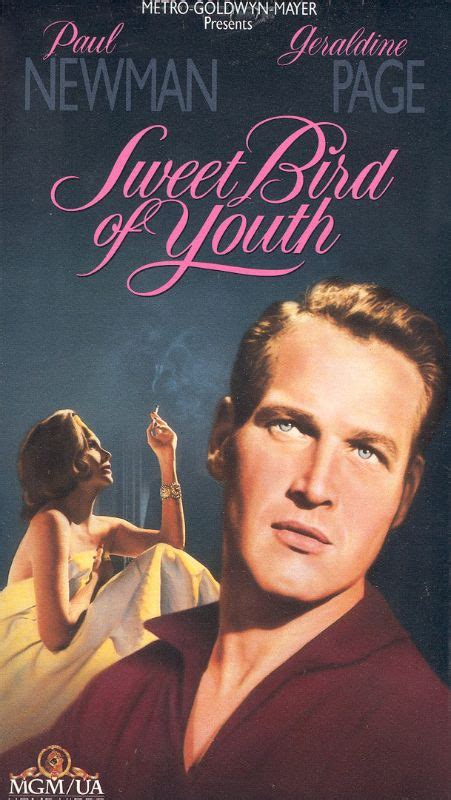 Sweet Bird Of Youth 1962 Richard Brooks Synopsis Characteristics