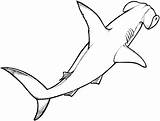 Shark Coloring Pages Printable sketch template