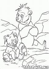 Koda Bear Brother Kenai Oso Coloring Orso Colorat Hermano Kleurplaat Fratello Colorkid Colorare Planse Disegni Persoonlijke Maak 1661 Cartoni Yet sketch template