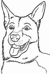 Hond Dieren Honden Tekeningen sketch template