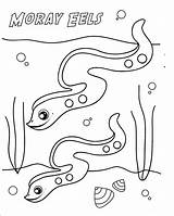 Coloring Eel Pages Moray Electric Eels Getdrawings Sharkboy Lavagirl Getcolorings Popular 1683 08kb sketch template