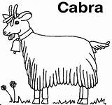 Cabra Cabras Capra Colorat Capre Chevre Ganado Caprino Koza Chevres Kolorowanka Kolorowanki Kozy Animale Campana Domestice Goat Colorea Desene Goats sketch template