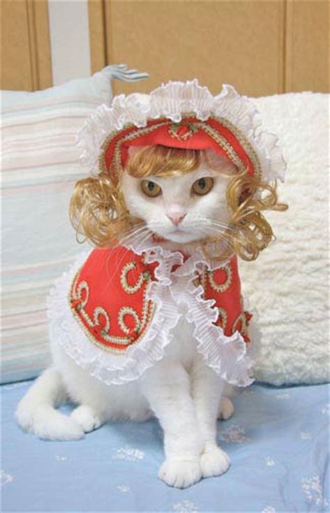fashion cats takako iwasa 9781576875575 books