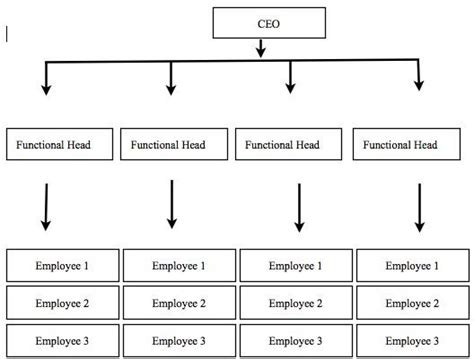 what are the different types of organizational charts