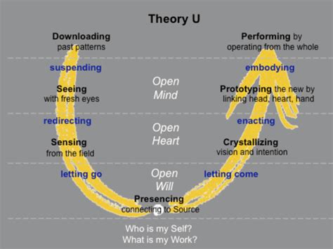 theory   process  leadership capacities source scharmer   scientific