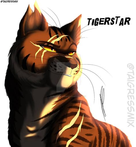 tigerstar warrior cats  masterlan  deviantart
