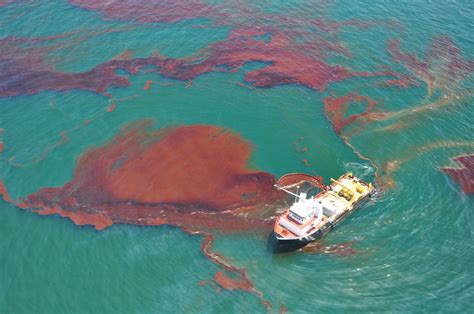 insights  editorial tarred   oil spill insights
