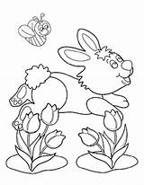 Coloring Card Rabbit Peter Pages Lily Color sketch template