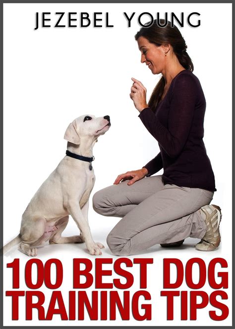 virt news book review  dog training tips  jezebel young