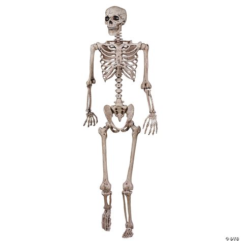 skeleton costumepubcom