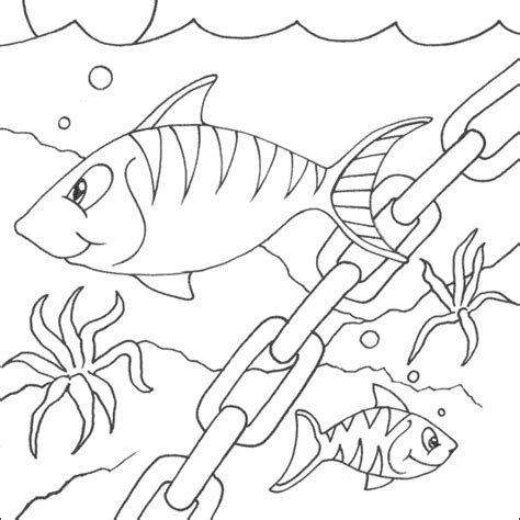 animal coloring pages march