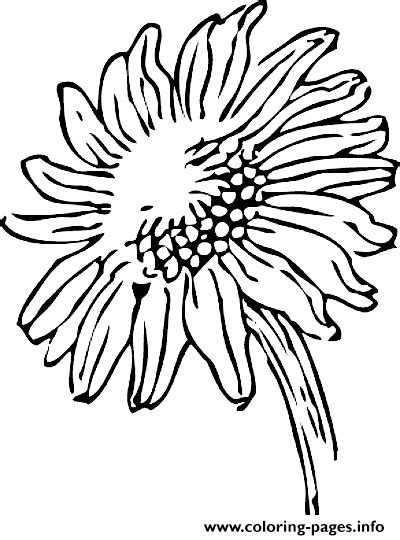 exotic flower coloring page printable