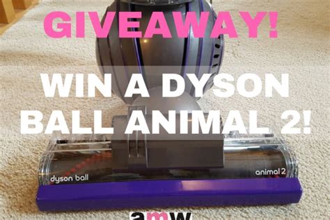enter  win  dyson ball animal  amotherworld