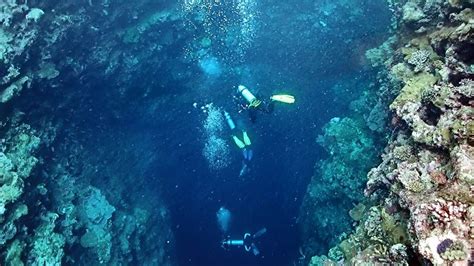 Scuba Diving The Blue Holes Palau Youtube