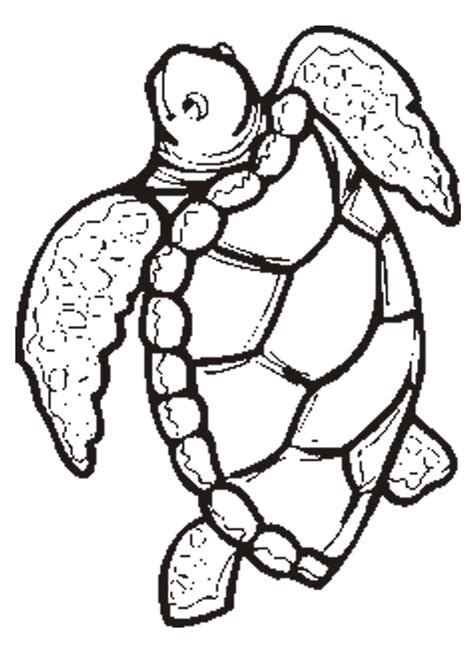 printable animal turtle coloring pages