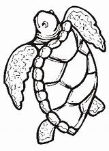 Turtle Coloring Pages Printable Animal Turtles Print Adult Sea Template Kids sketch template