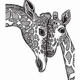 Giraffe Coloring Pages Adults Print sketch template