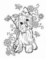 Coloring Yorkie Pages Printable Getcolorings Color sketch template
