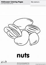 Nuts Coloring Eat Something Good Give Simple Supersimple Super sketch template