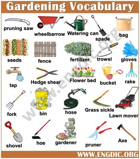 vocabulary words  english  pictures   vocabulary