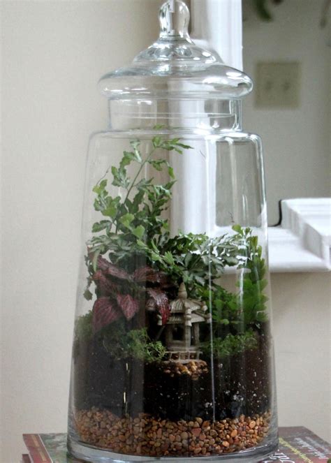 easy steps  creating  terrarium hgtv