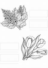 Flowers Markers Copic sketch template