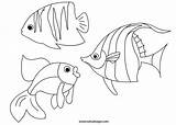 Pesci Colorare Disegni Animali Tuttodisegni Pesce Disegnare Scegli Mosaici Colorato sketch template