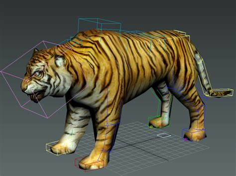 tiger rigged  model ds max files   modeling   cadnav
