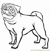 Pug Coloring Pages Dogs Printable Outline Printables Thecolor Color Animals Dog Colouring Pugs Activities Clipart Puppy Cute Puppies Pig Book sketch template