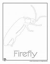 Firefly Tracing Kids Worksheets Activities Word sketch template