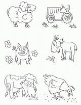 Pig Templates Coloring Popular sketch template