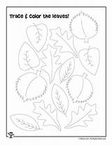 Fall Preschool Leaves Autumn Trace Worksheets Color Kids Practice Activities Halloween sketch template