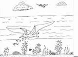Pteranodon Coloring Fishing Robin Pages Great sketch template