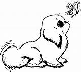 Coloring Pages Puppy Sheets Alphabet sketch template
