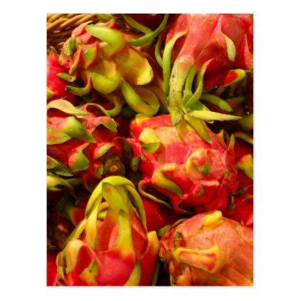 dragon fruit   basket postcard postcard post card postcards unique