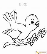 Bird Coloring Date Kids sketch template